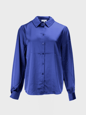 Blue blouse